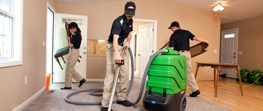 Bellmore, NY cleaning services